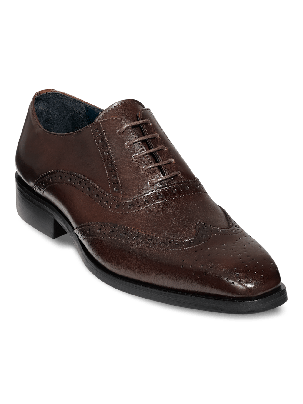 Product Image of Watson Oxford-Dark Brown