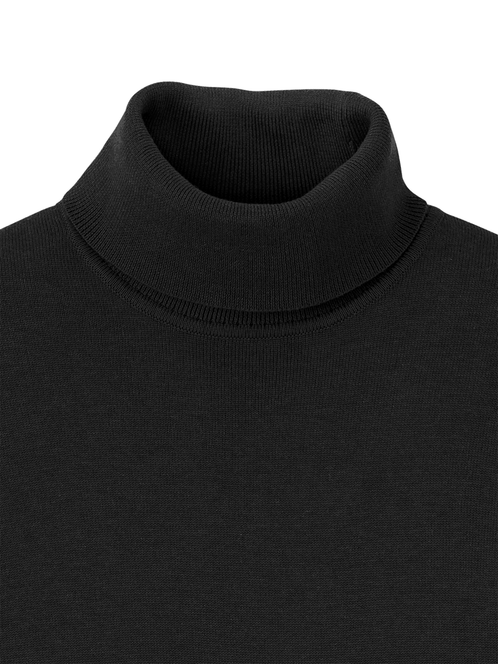 Alternate Image of Supima Cotton Turtleneck-5