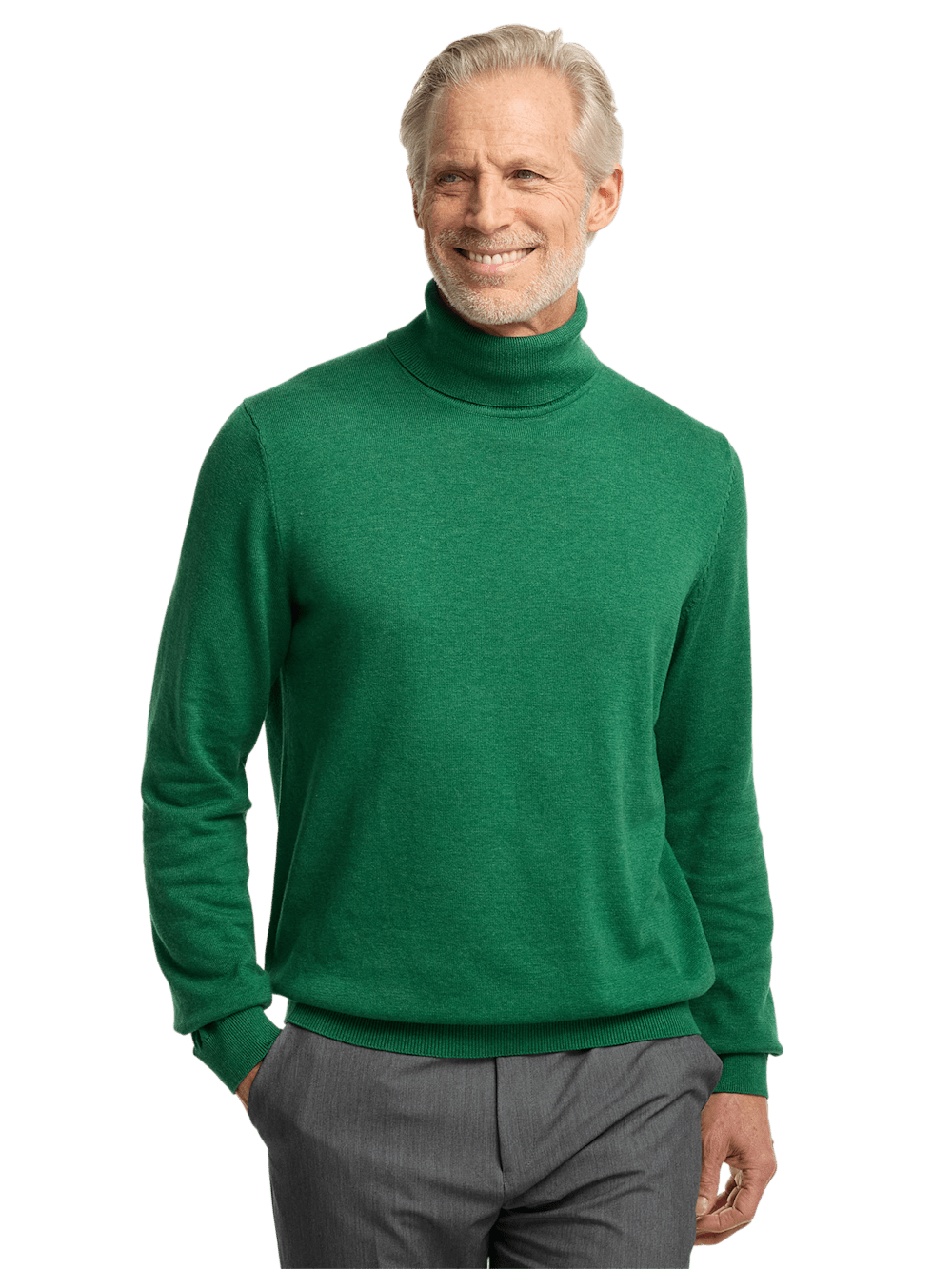 Alternate Image of Supima Cotton Turtleneck-1