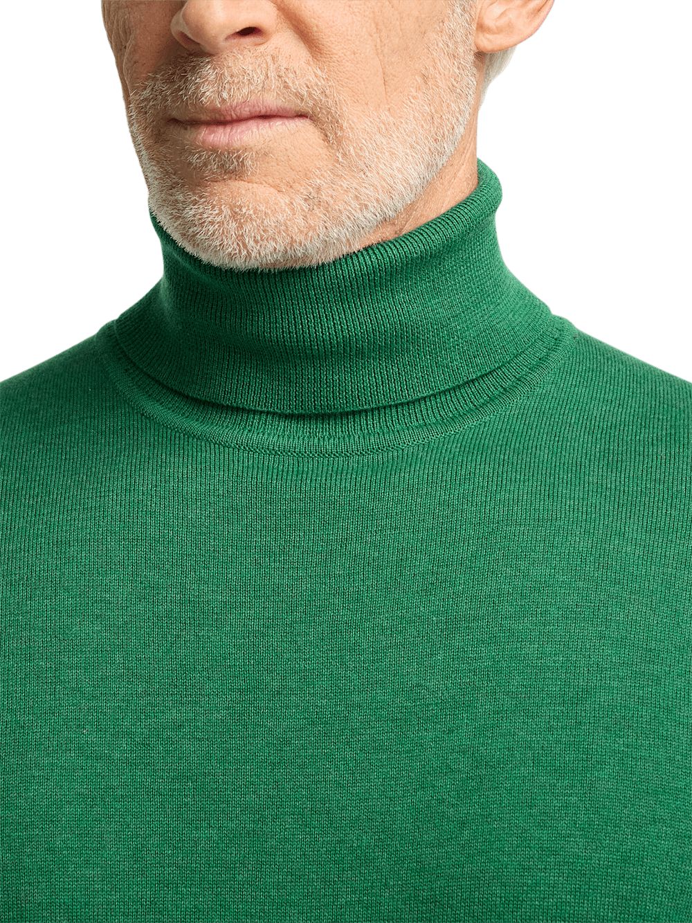 Alternate Image of Supima Cotton Turtleneck-2