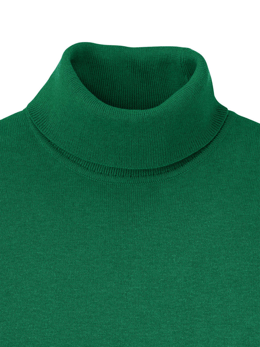 Alternate Image of Supima Cotton Turtleneck-5