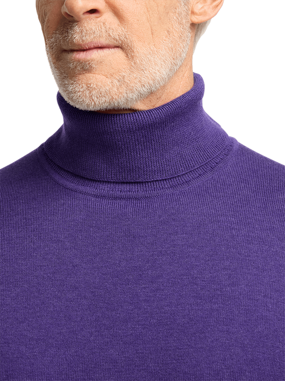 Alternate Image of Supima Cotton Turtleneck-2