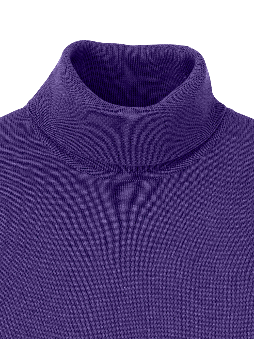 Alternate Image of Supima Cotton Turtleneck-5