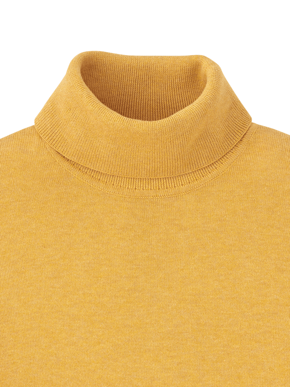 Alternate Image of Supima Cotton Turtleneck-5