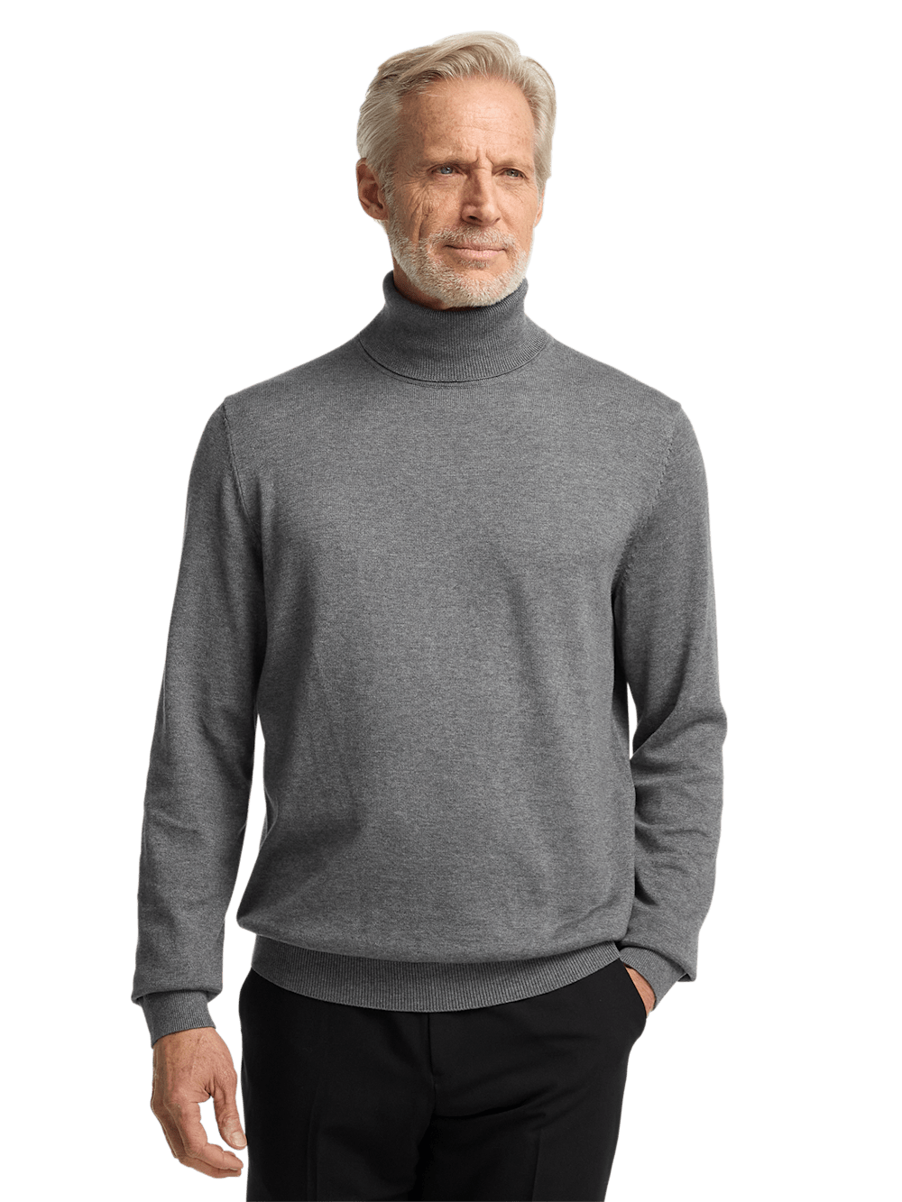 Alternate Image of Supima Cotton Turtleneck-1