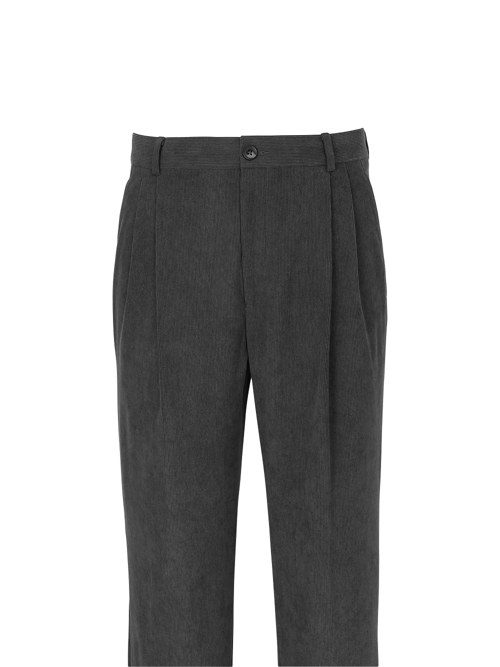 Alternate Image of Corduroy Pleated Pants-1#model_pleated front