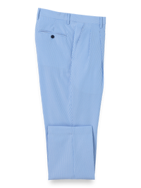 Pinstripe Pleated Pants - Blue Stripe