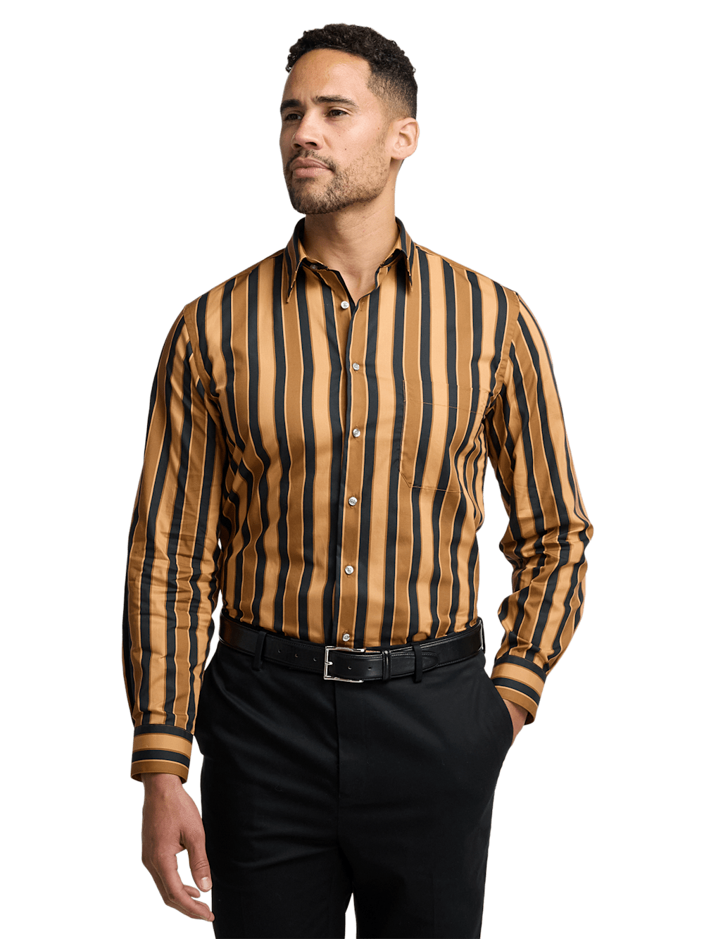 Alternate Image of Cotton Stripe Casual Shirt-1