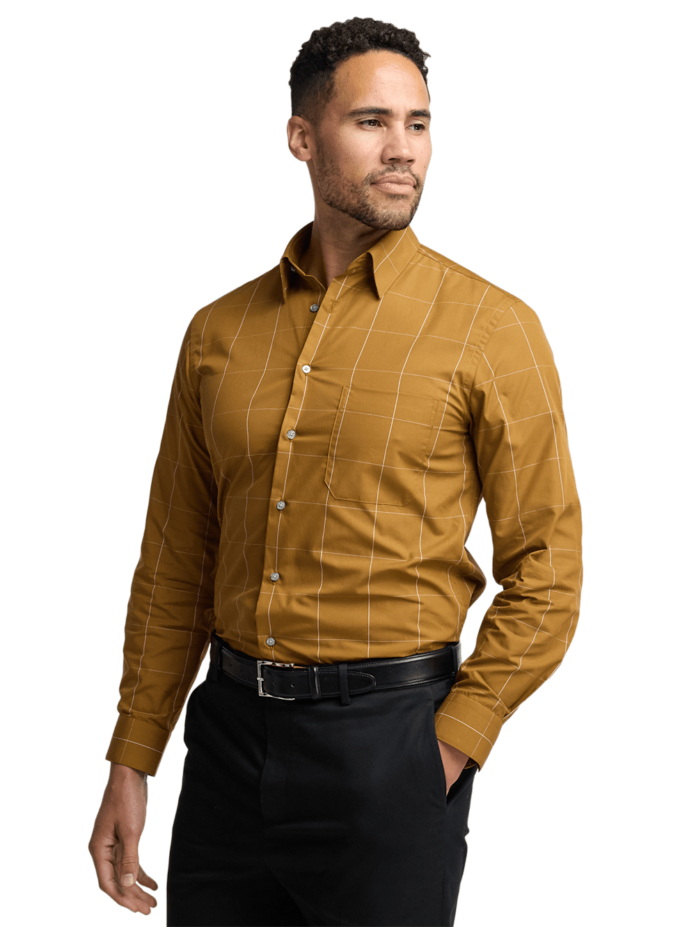 Alternate Image of Cotton Windowpane Casual Shirt-1